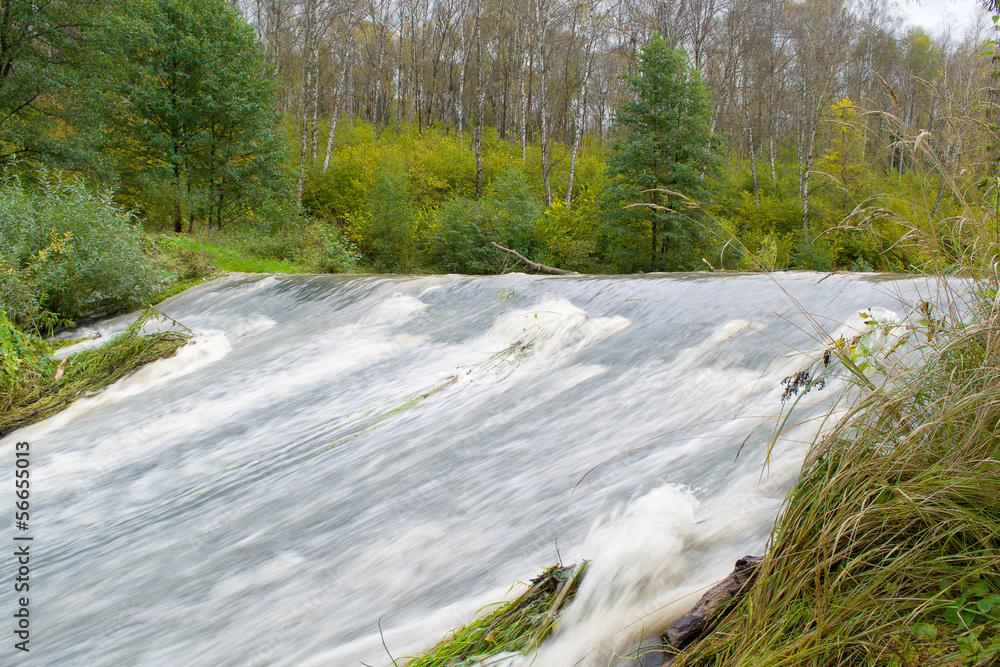 Fototapeta premium rapid river forest