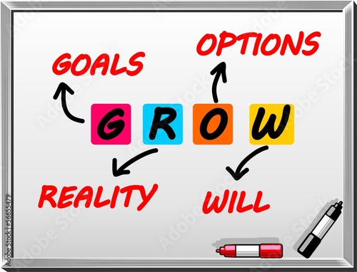 GROW Goals, reality, options, will