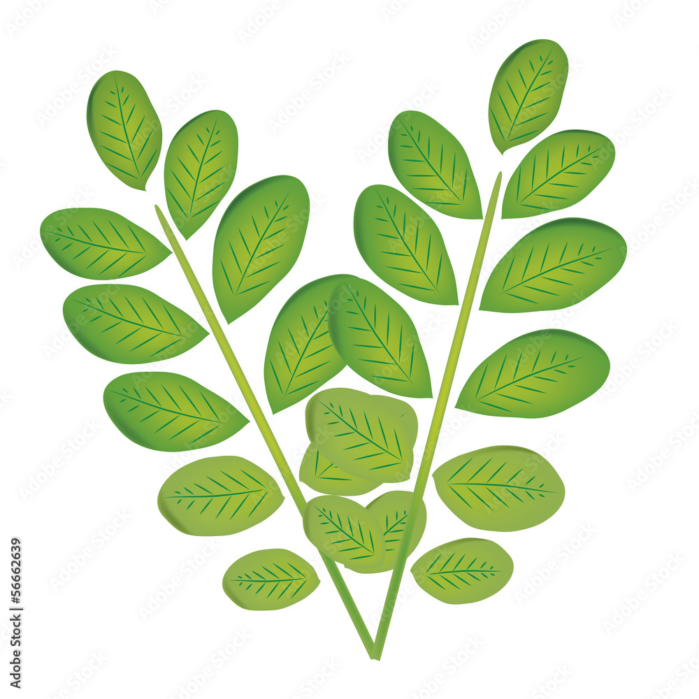 Naklejka premium pair of leafs