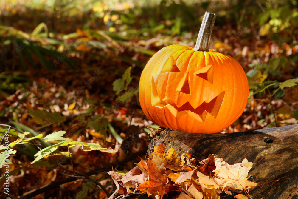 Funny face pumpkin on tree trunk in forest Funny face pumpkin on tree trunk in forest