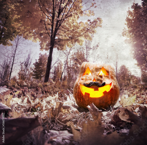 Halloween pumpkin in the park photo