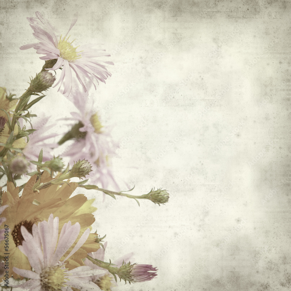 Obraz premium textured old paper background