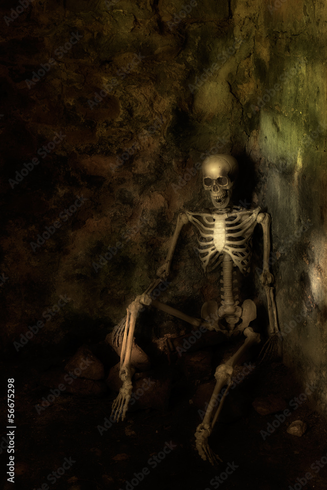Skeleton Skeleton