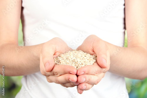 Wheat grain in female hands on natural background