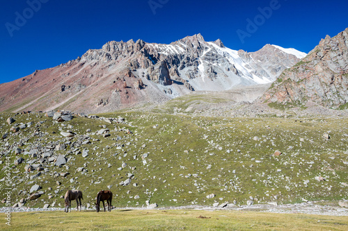 Mountain landscape with two horses