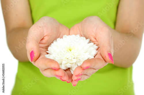 Beautiful white flower in women hands isolated on white