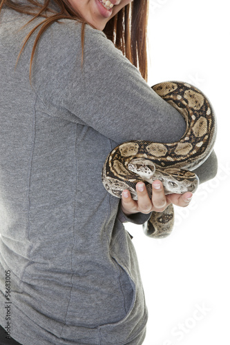 Pet Boa Snake