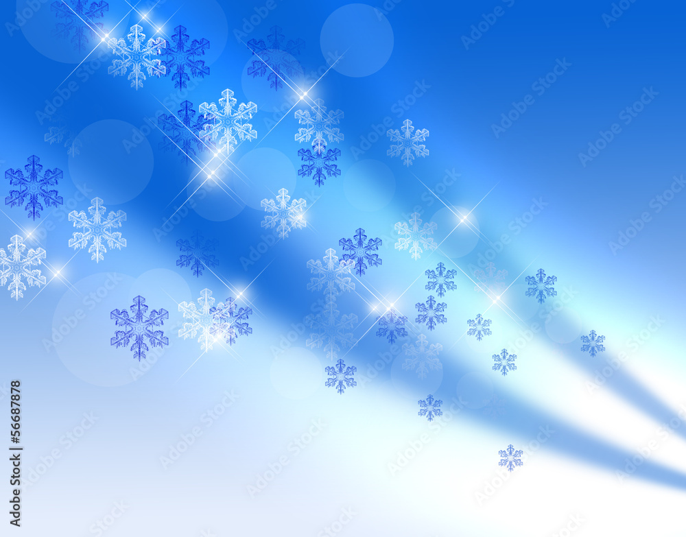 雪の結晶 雪の結晶