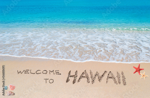 welcome to Hawaii