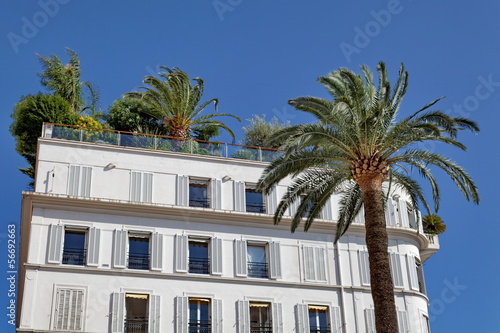 Immeuble blanc avec terrasse et palmiers © Bruno Bleu