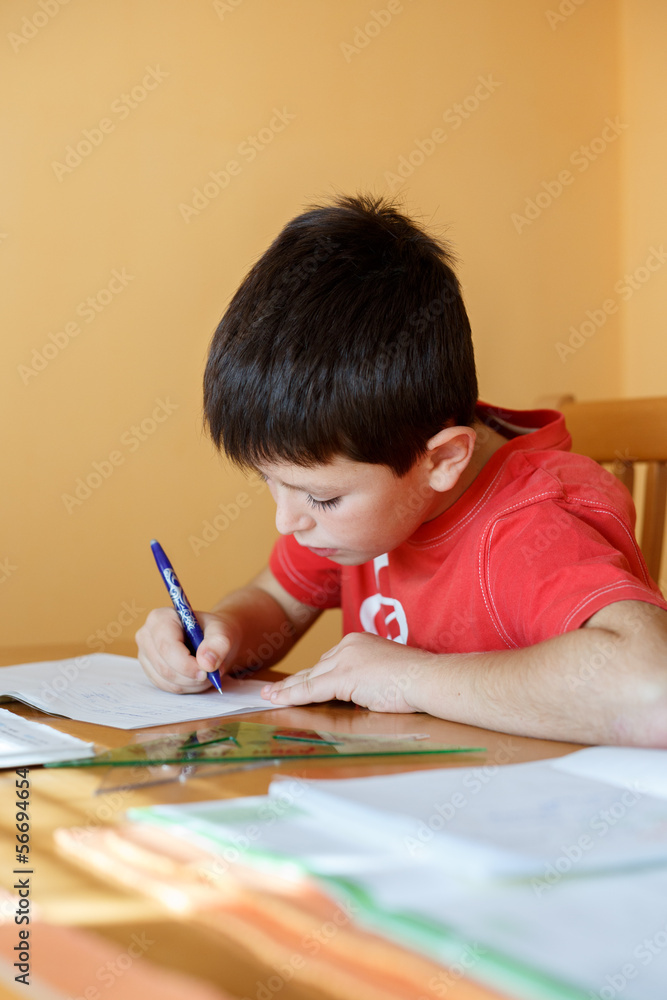 boy doing school homework