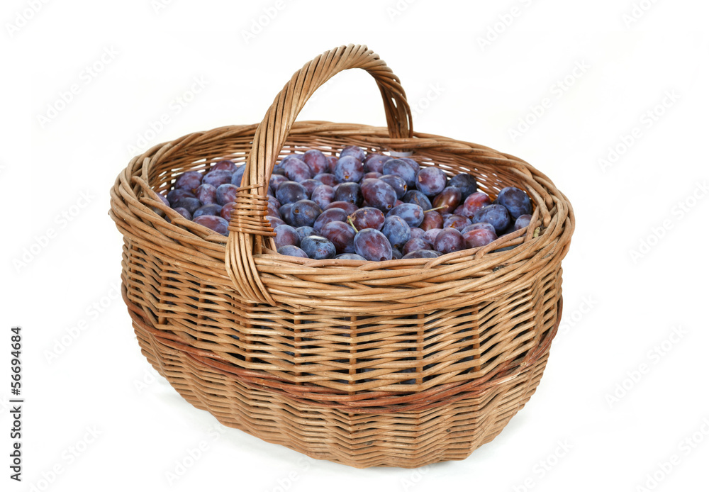 ripe plums in basket ripe plums in basket