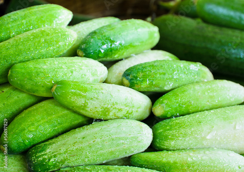 Cucumber for sale at fresh market