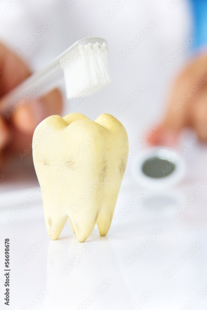 dentist holding brushing teeth , dental hygiene concept dentist holding brushing teeth , dental hygiene concept