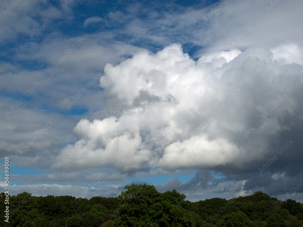 Cumulus Clouds