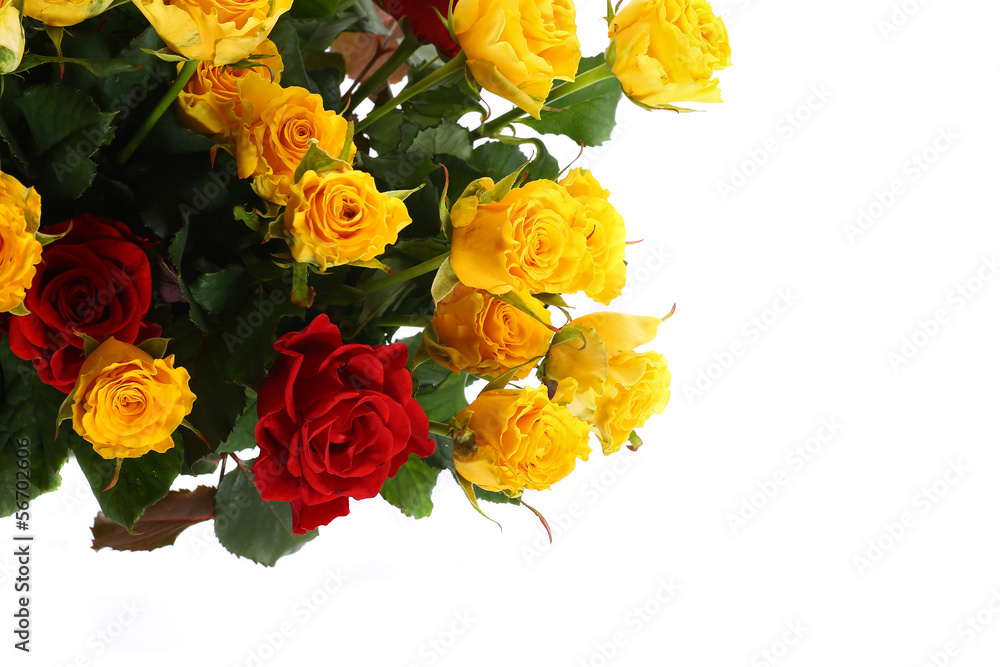 yellow and red roses
