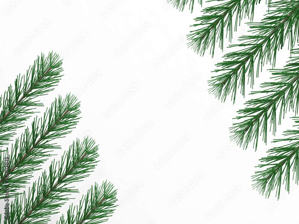 pine branches with empty space pine branches with empty space