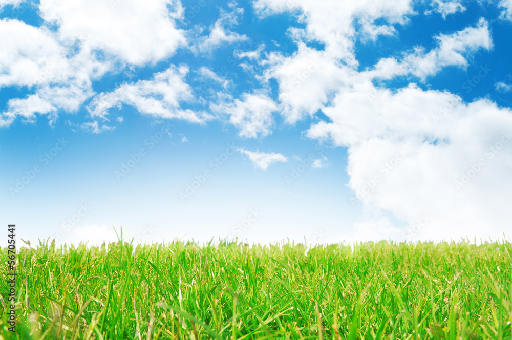 blue sky and green grass beautiful background blue sky and green grass beautiful background