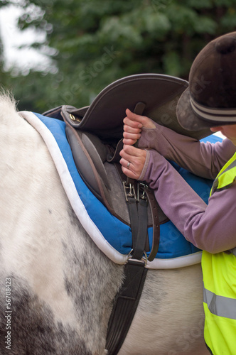 Horse having the girth tightened