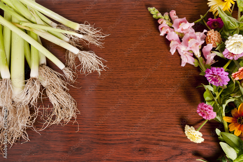 Obraz premium Leeks and Flowers Background
