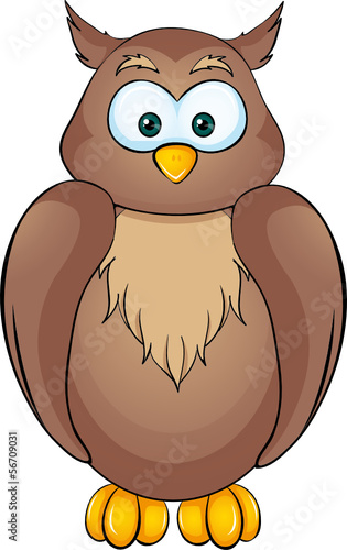Eule Cartoon