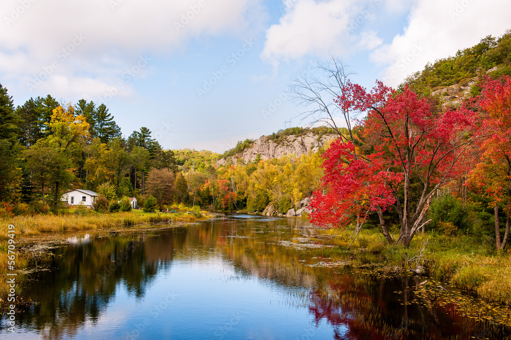 The trees and the river in autumn under the cloudy sky The trees and the river in autumn under the cloudy sky