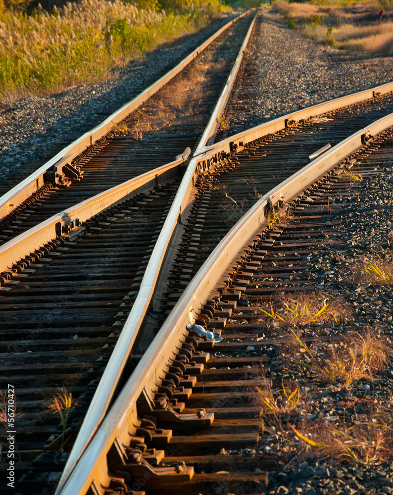 Fototapeta premium Railroad Tracks
