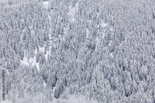 Newly fallen snow © Lars Johansson