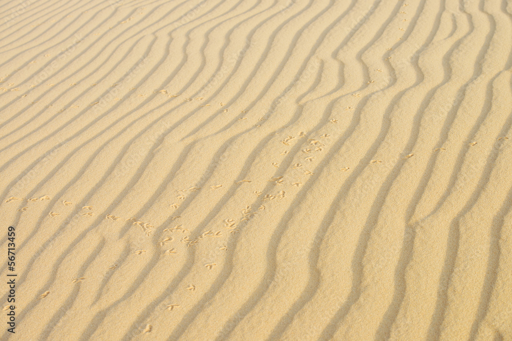 Sand texture in the desert Sand texture in the desert