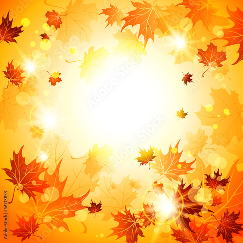 Bright autumn background