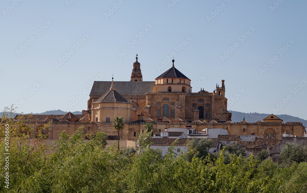 Cathédrale de Cordoue; Cordoba. Espagne.