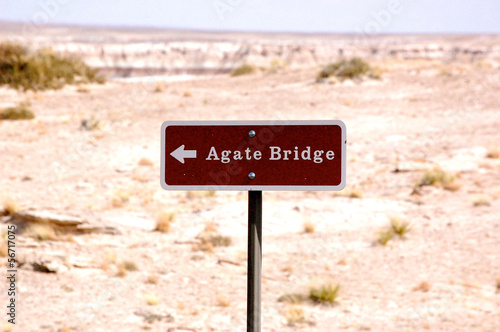 Petrified Forest - Agate Bridge-1-6