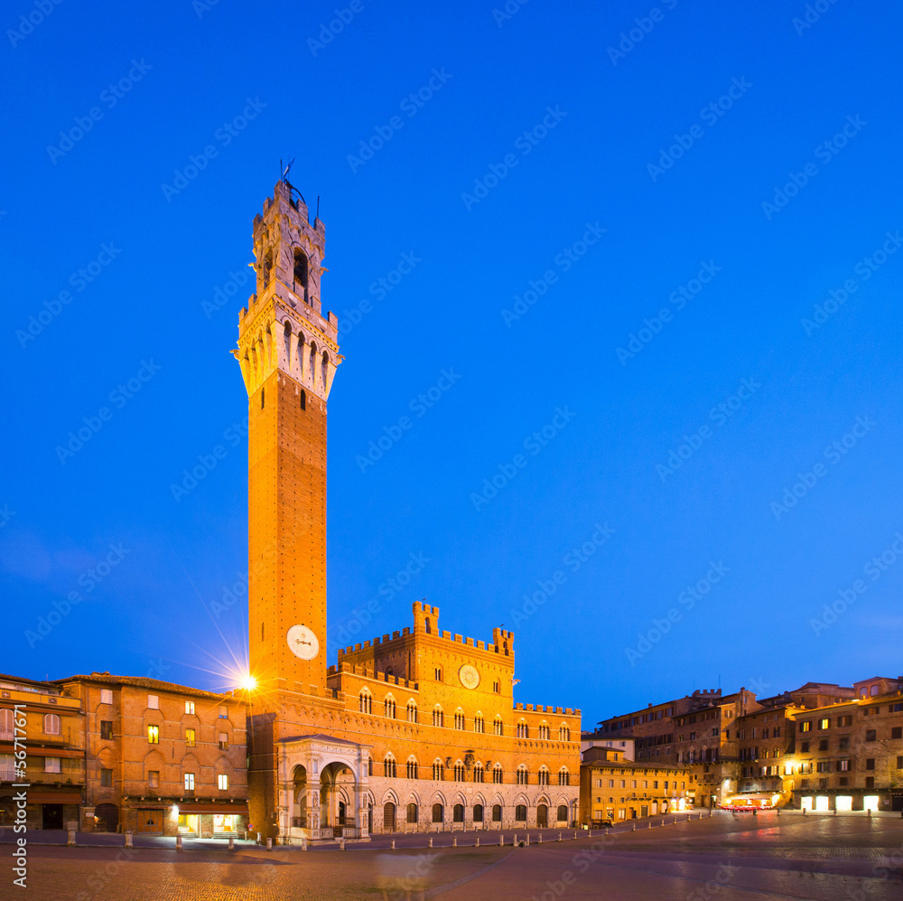 Palazzo Publico and Torre del Mangia