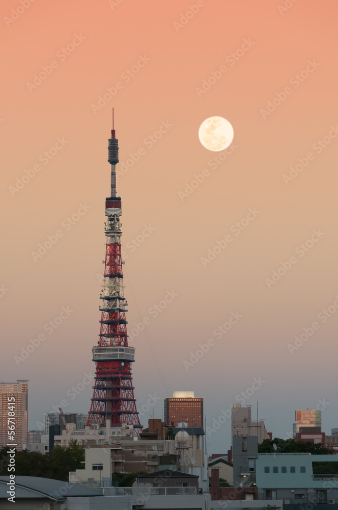 Obraz premium Tokyo Tower