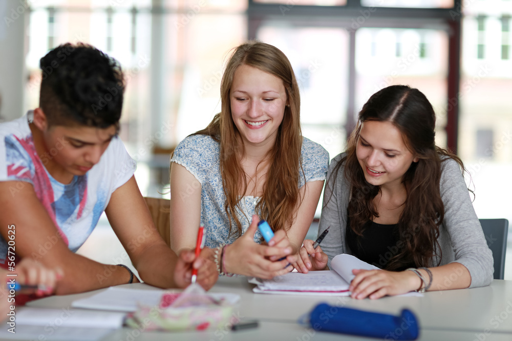 Schüler beim Lernen Schüler beim Lernen