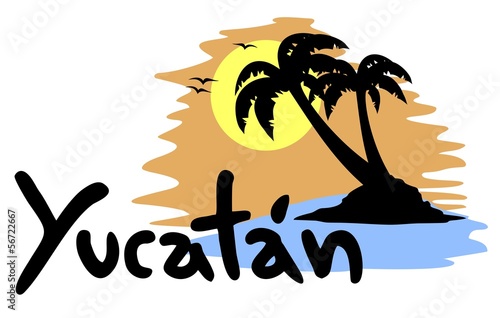 Yucatan palm