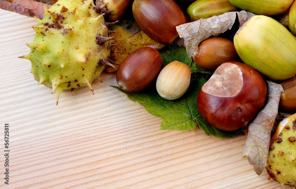 Cobnuts, horse chestnuts, acorns and autumn leaves diagonal bord Cobnuts, horse chestnuts, acorns and autumn leaves diagonal bord