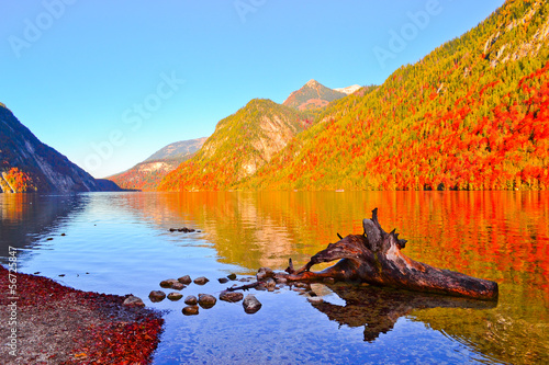 Fototapeta Naklejka Na Ścianę i Meble -  Autumn Colors