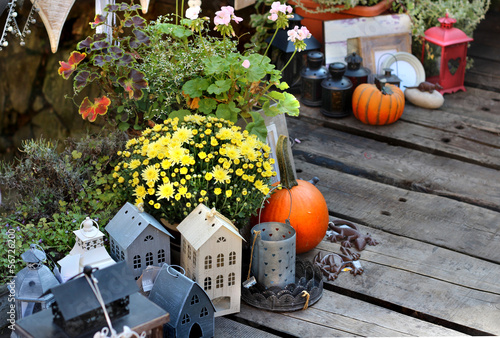 Halloween decorations with pumpkin © Tanouchka