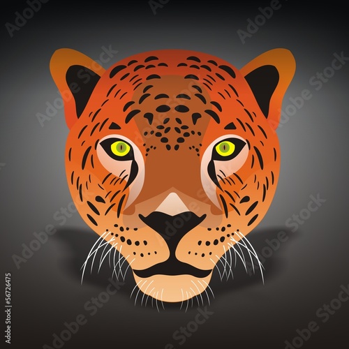 Leopardo