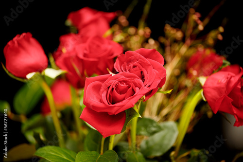 Red Rose Bouquet on Black Background