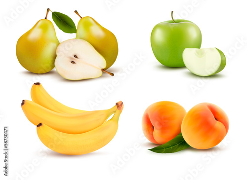 Big group of different fruit. Vector.