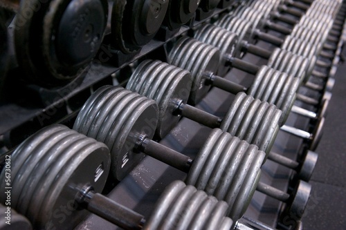 Rack of Dumbbells at a Professional Gym