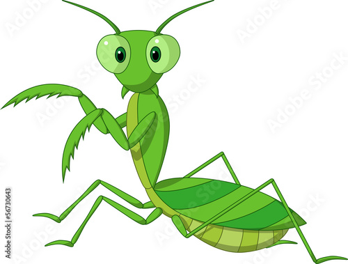 Cute praying mantis cartoon