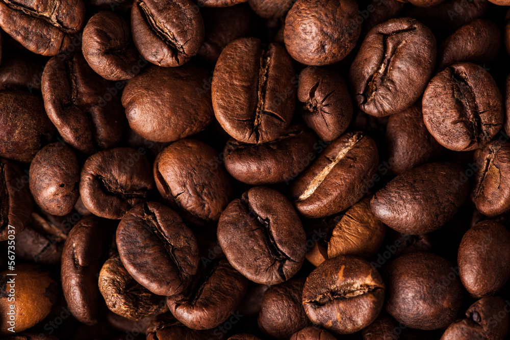 Naklejka premium coffee beans