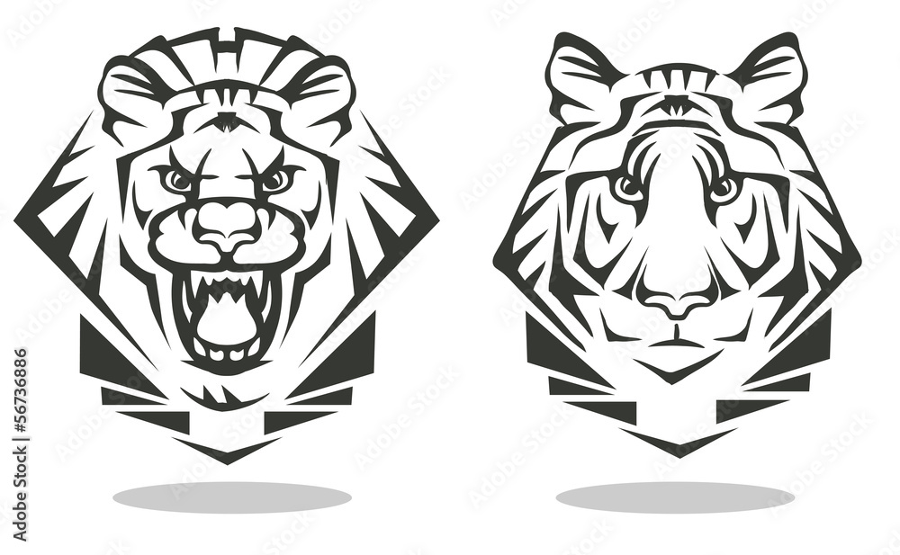 Fototapeta premium tiger and lion