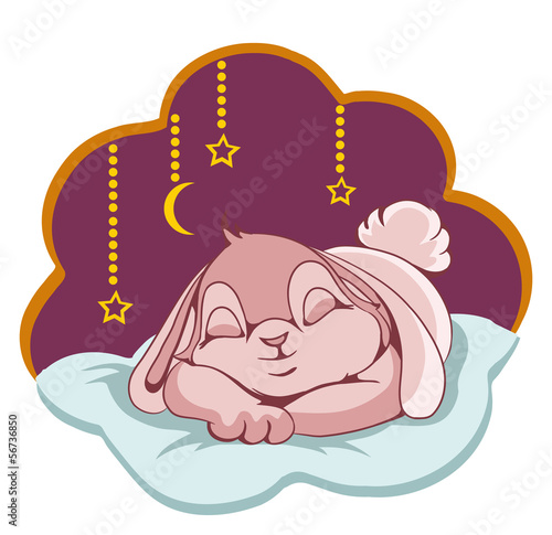sleeping Bunny