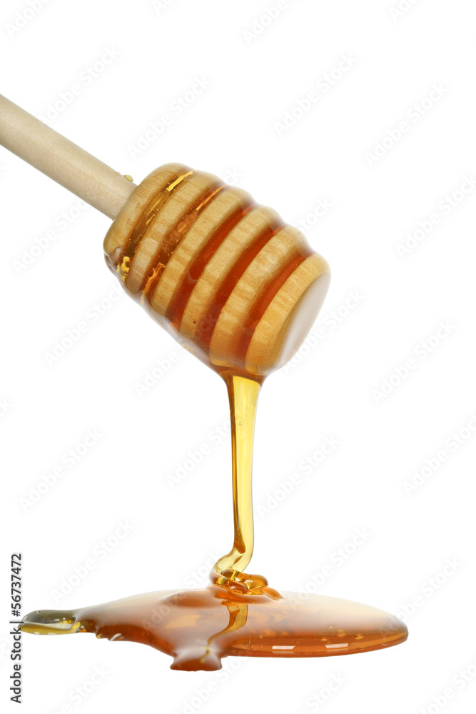 honey honey
