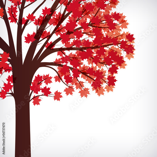 abstract background, maple tree with autumn branches