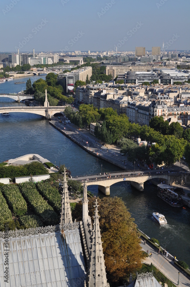Vue sur la Seine depuis les tours de Notre-Dame